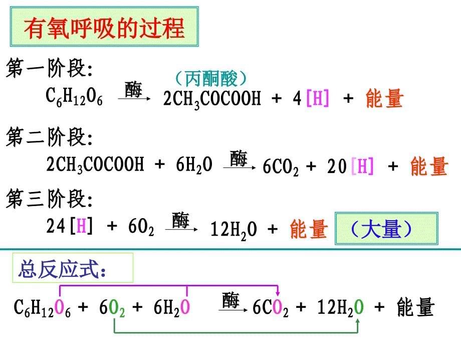 光合呼吸二轮 (2)_第5页