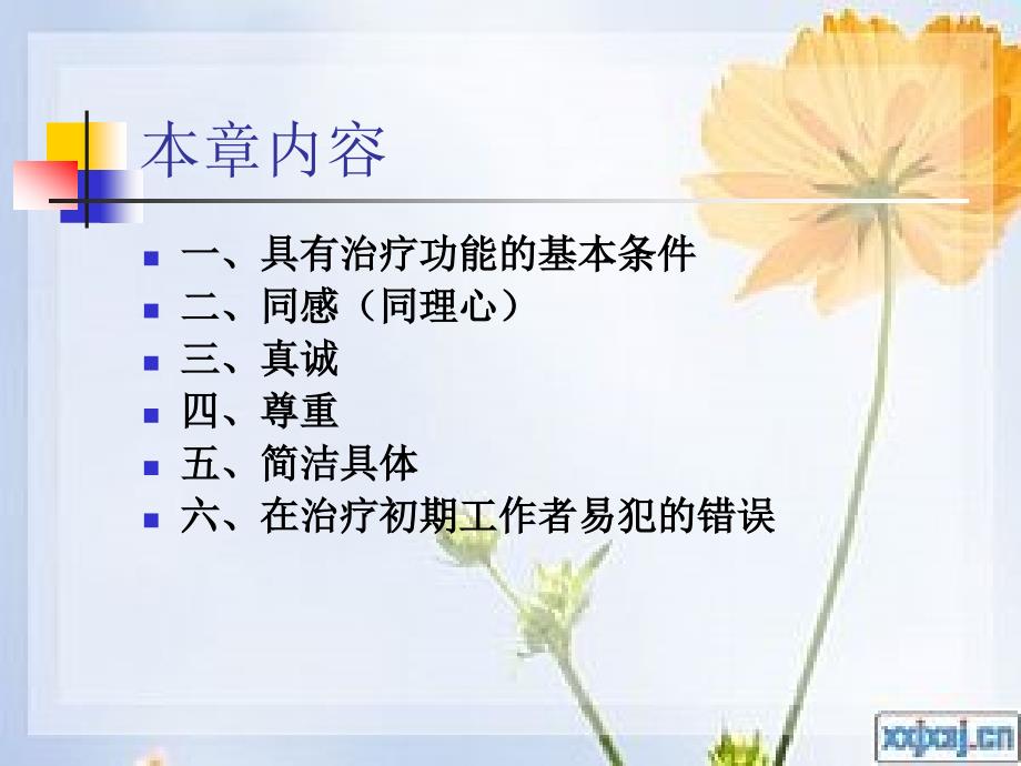 个案工作者的专业态度.ppt_第2页