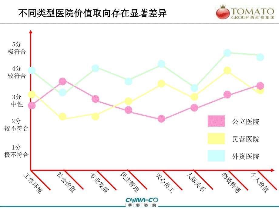 上海莱茵医院人力资源战略_第5页