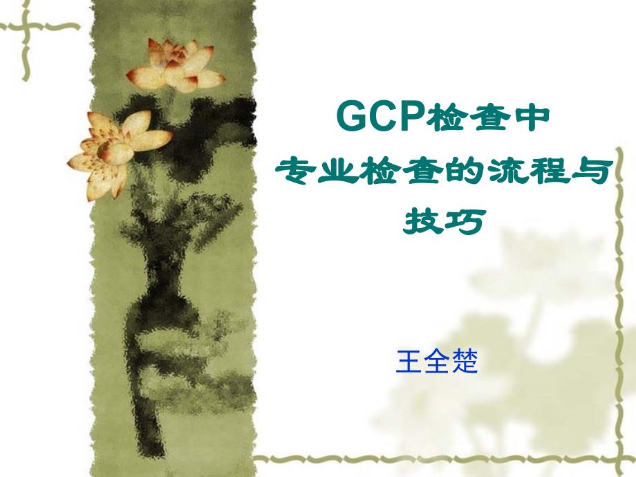 GCP检查中专业检查的流程与技巧PPT课件_第1页