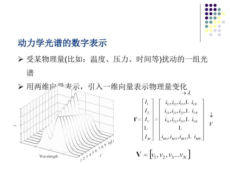 第3光谱仪器系统_第5页