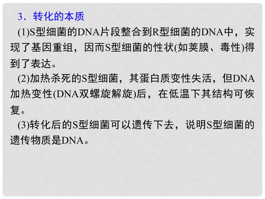 高考生物第一轮复习 第3章第1节DNA是主要的遗传物质课件 新人教版必修2_第4页