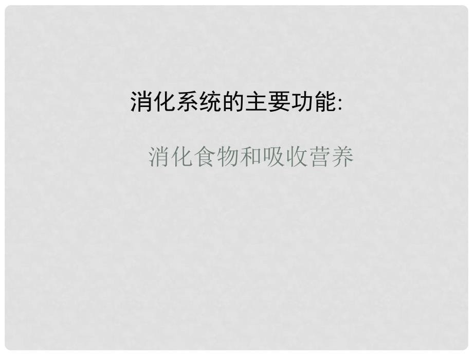 湖北省荆门市钟祥市兰台中学七年级生物下册 第二章 第二节 消化和吸收课件 新人教版_第5页