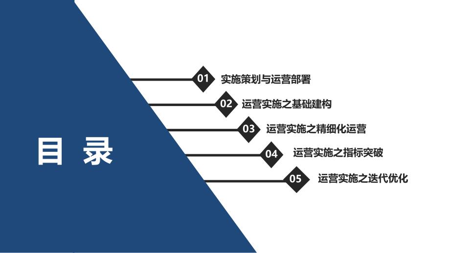 线上产品渠道运营实施方案策划书.ppt_第2页