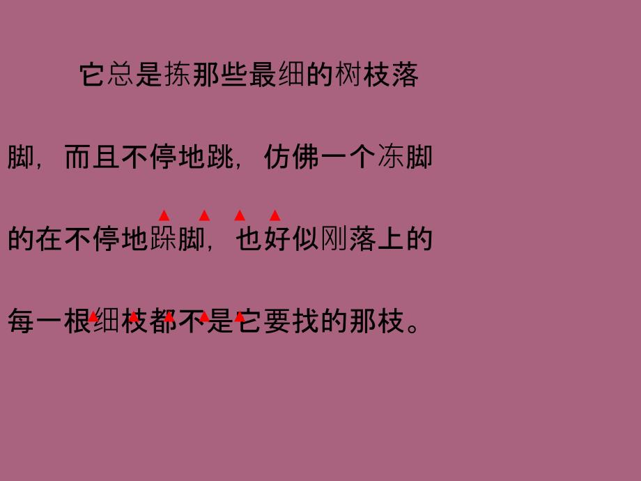 鄂教版五年级下册隔窗看雀1ppt课件_第3页