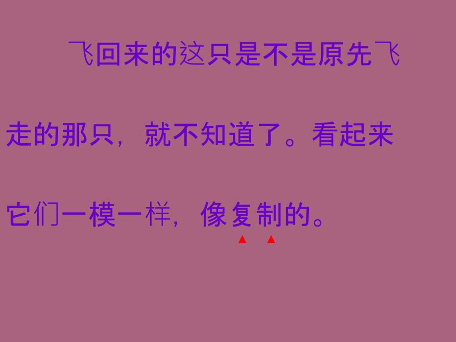 鄂教版五年级下册隔窗看雀1ppt课件_第4页