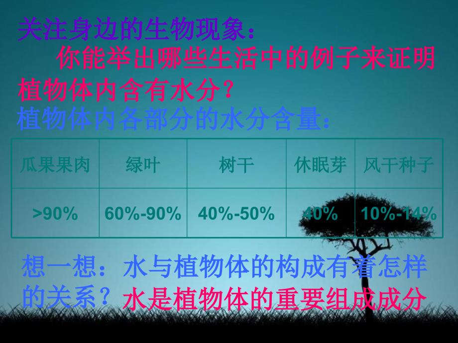 中学七年级生物上册3.1绿色植物的生活需要水生物课件新人教版课件_第3页