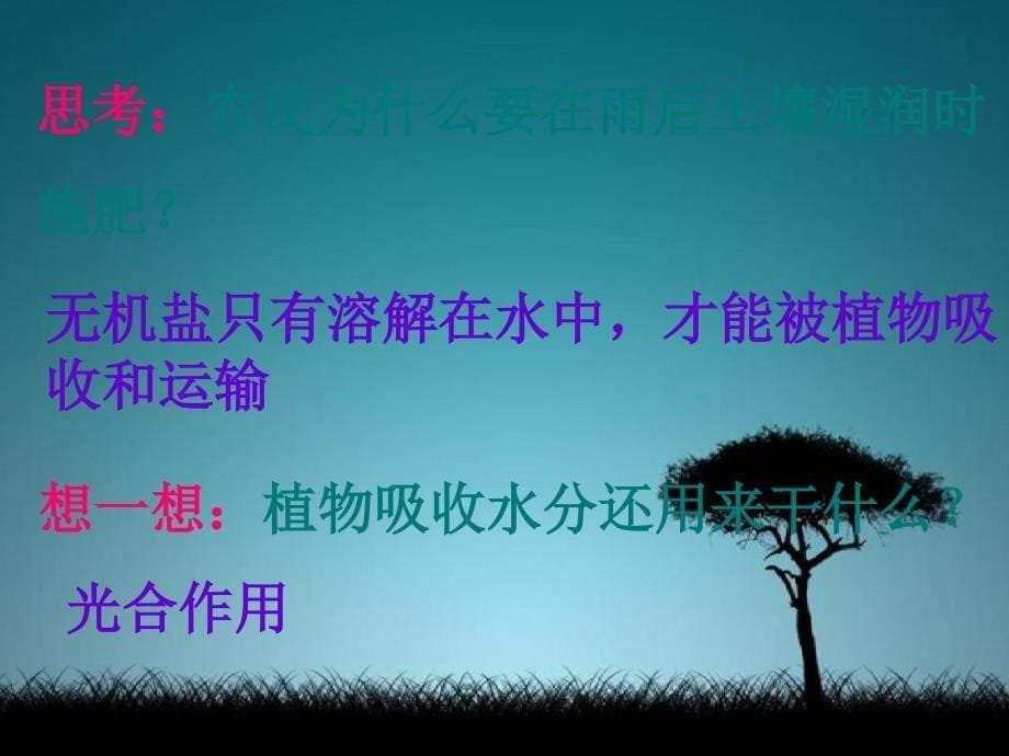 中学七年级生物上册3.1绿色植物的生活需要水生物课件新人教版课件_第5页