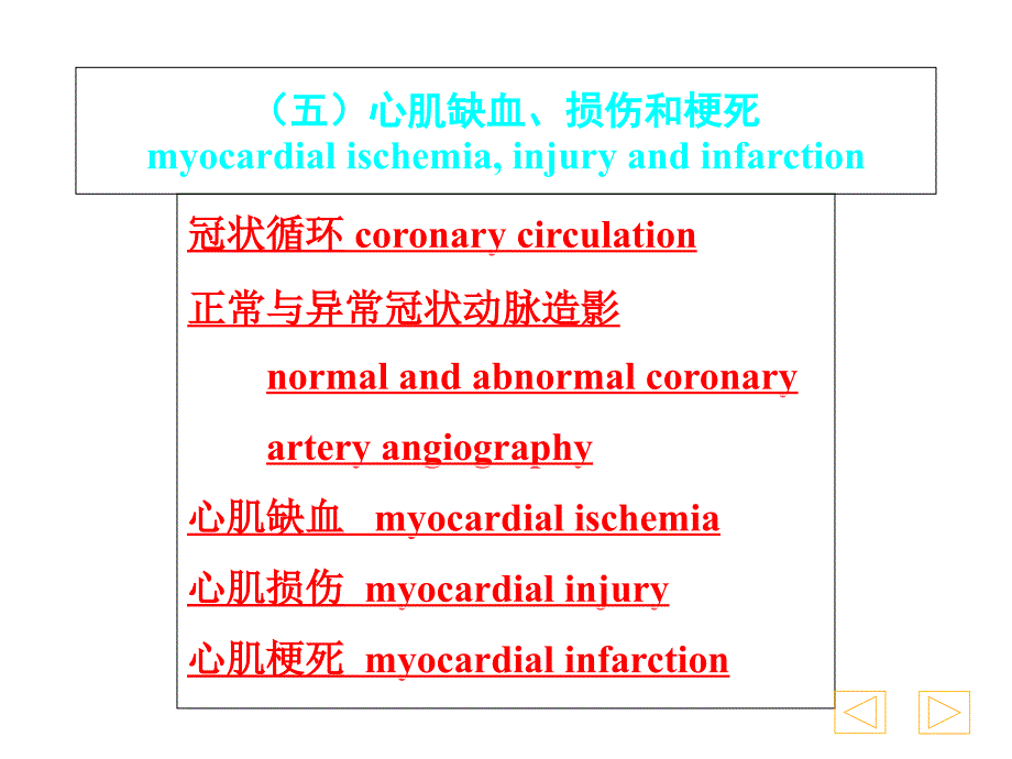 宁大教学心电图PPT文档资料_第3页