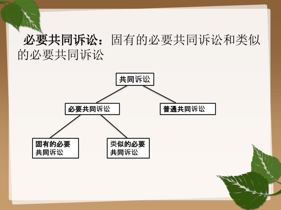 共同诉讼和诉讼代表人制度_第5页