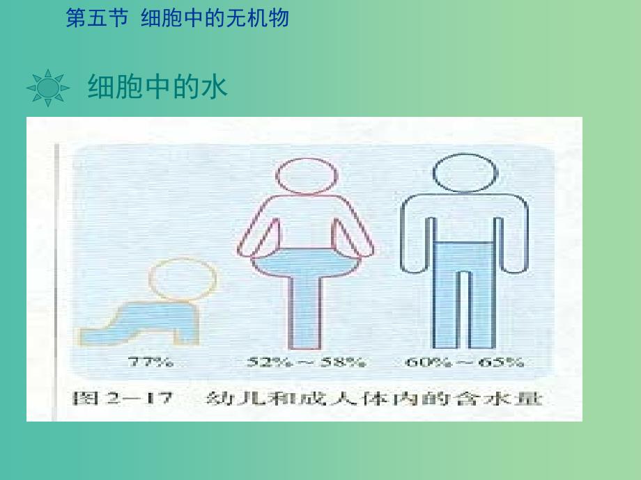 2019高中生物 专题2.5 细胞中的无机物同步课件 新人教版必修1.ppt_第4页