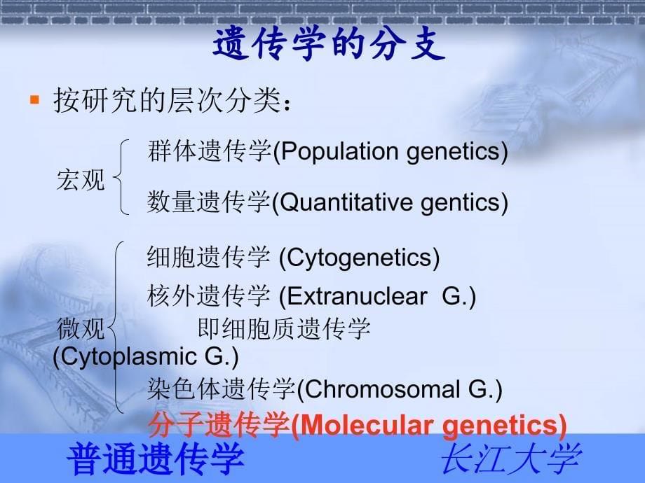 普通遗传学1课件_第5页