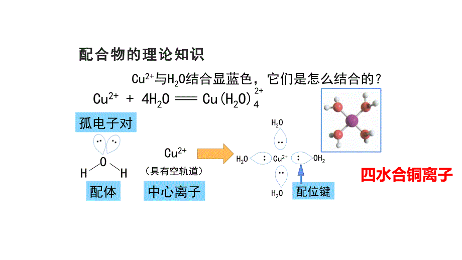 【课件】第三章 第四节 配合物与超分子课件高二化学人教版（2019）选择性必修2_第5页