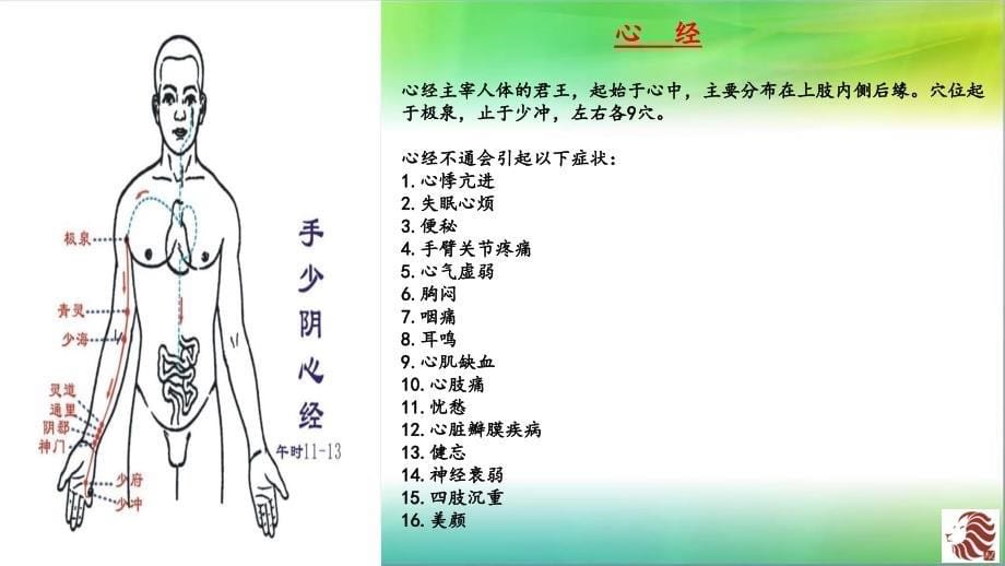 十二经络图解_第5页