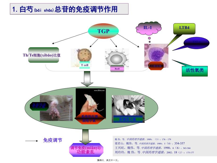 帕夫林在银屑病应用探讨课件_第4页