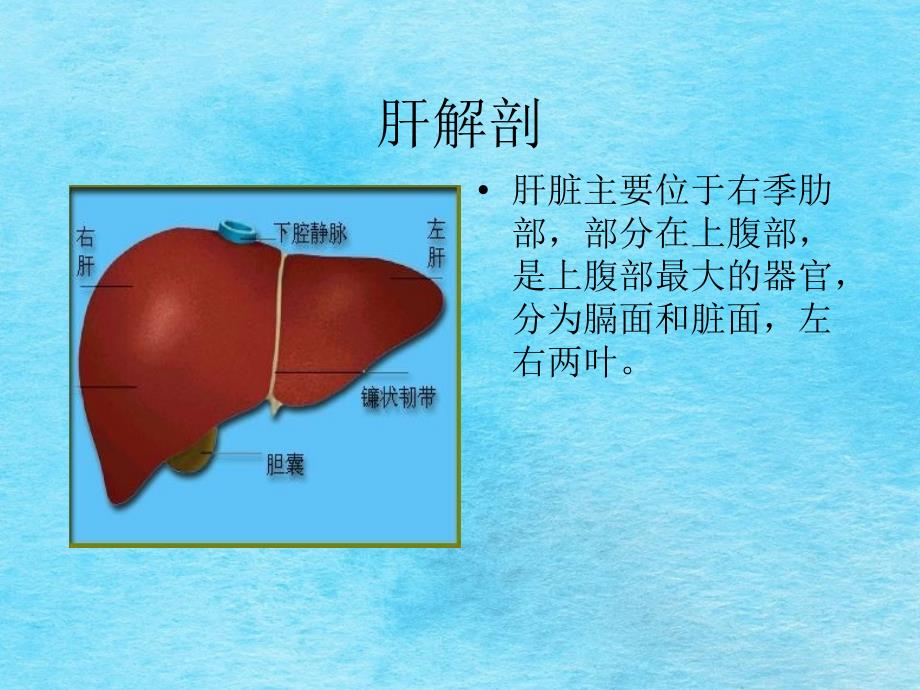 肝脏影像学ppt课件_第3页