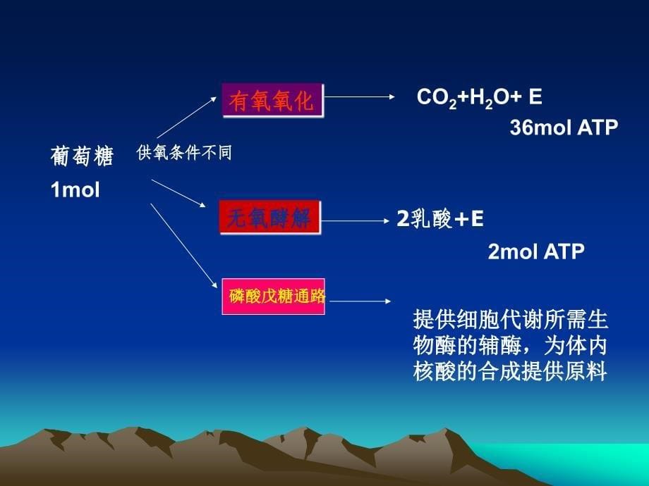 劳动能量与作业疲劳.ppt_第5页