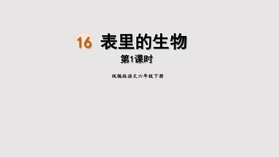 【小学语文 】《表里的生物》第一课时（课件）部编版语文六年级下册_第1页