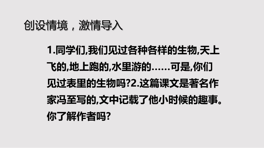 【小学语文 】《表里的生物》第一课时（课件）部编版语文六年级下册_第2页