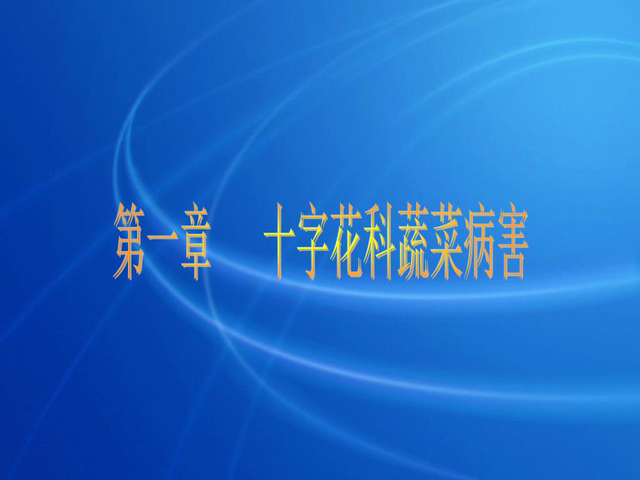 十字花科蔬菜病害25_第1页