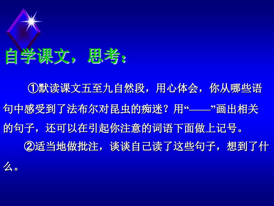 5装满昆虫的衣袋第二课时_第2页