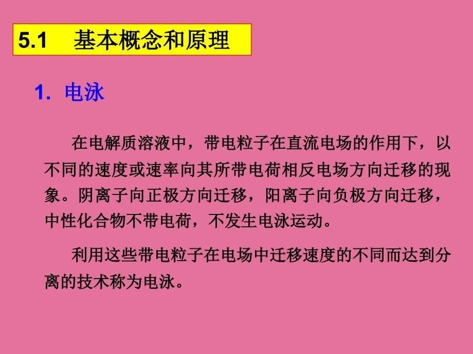 5毛细管电泳法ppt课件_第5页