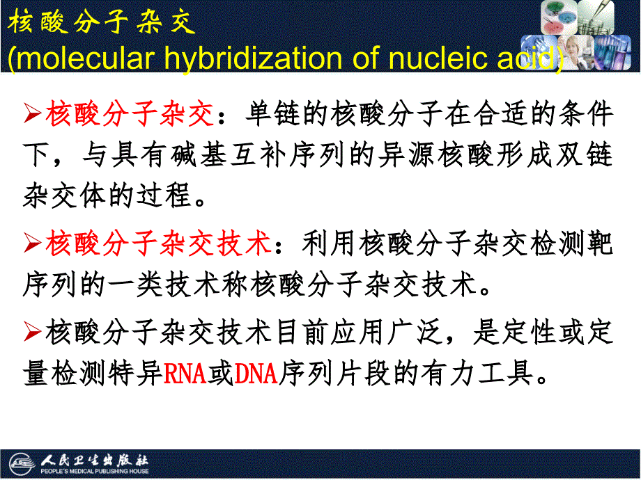 《核酸杂交技术》PPT课件_第4页