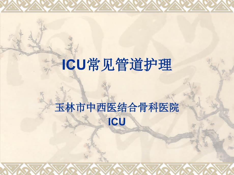 ICU常见管道护理PPT