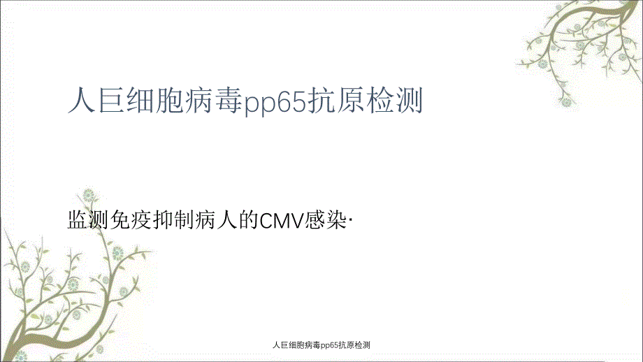 人巨细胞病毒pp65抗原检测_第1页