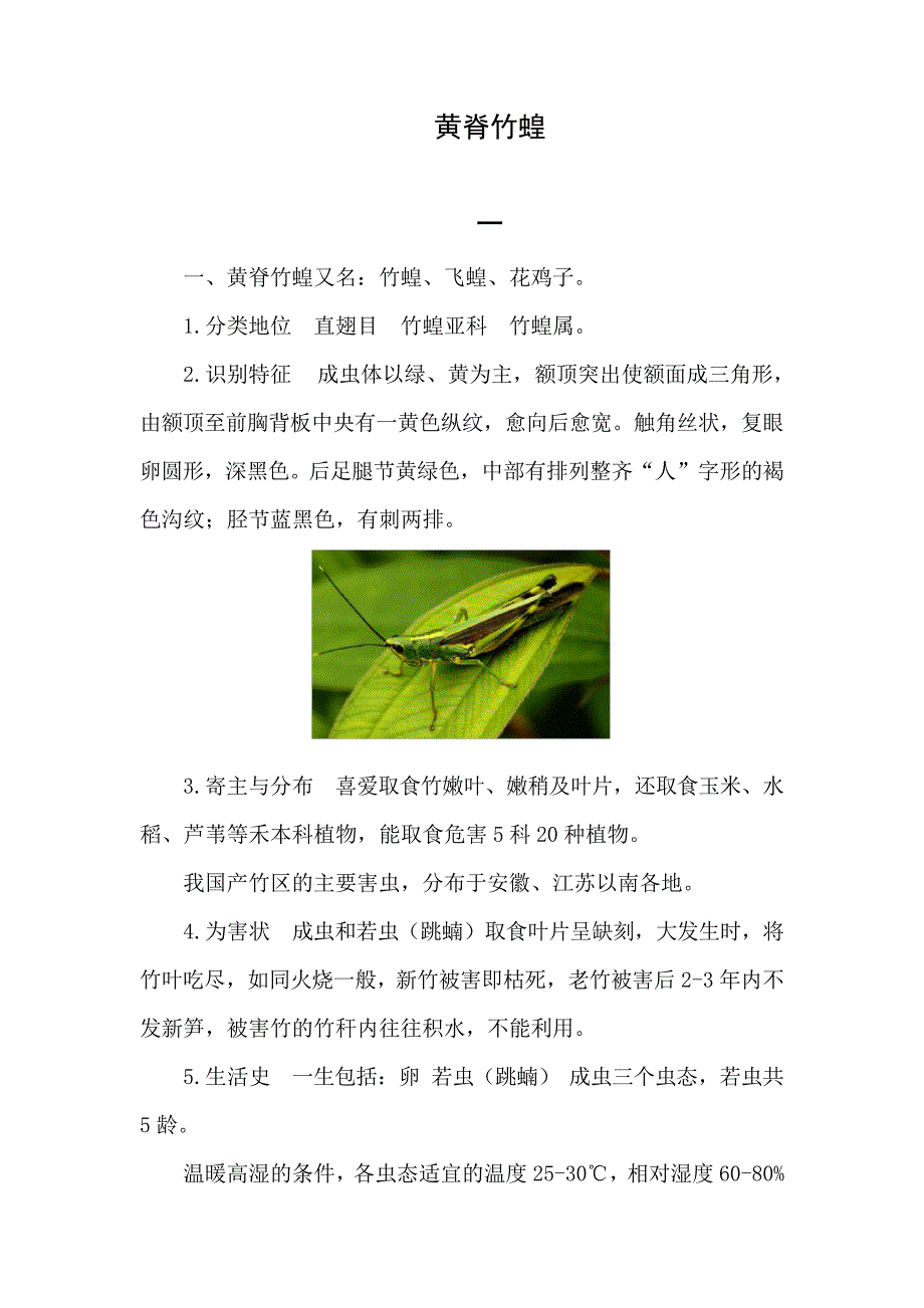 什么是黄脊竹蝗_第1页
