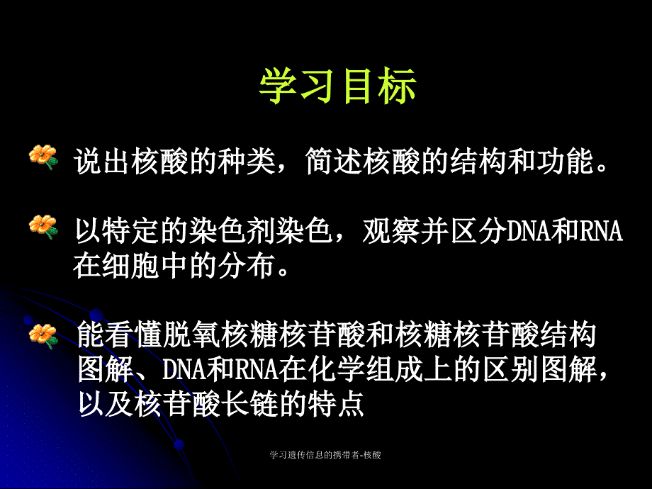 学习遗传信息的携带者核酸课件_第2页