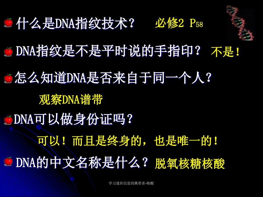 学习遗传信息的携带者核酸课件_第4页