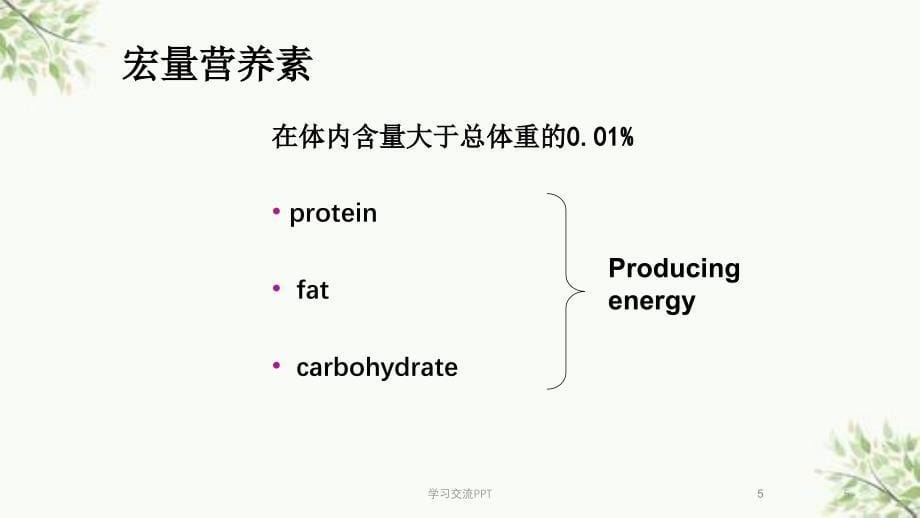 营养障碍性疾病课件_第5页