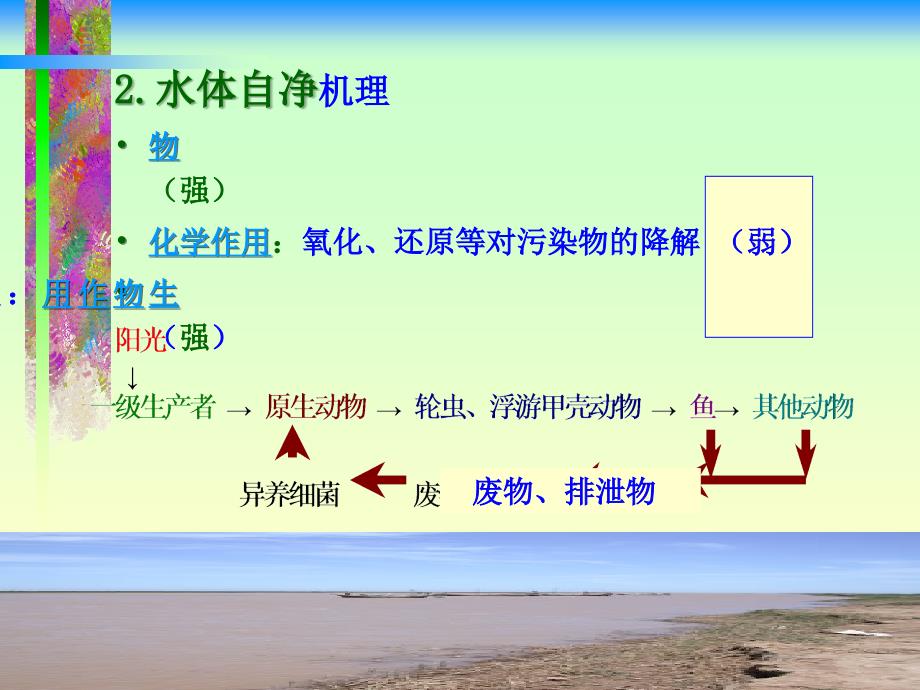 第十三章水体自净selfpurification_第3页