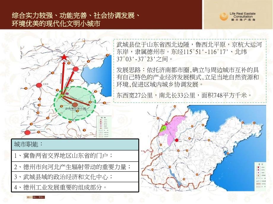 德州武城冠城一品项目营销策划报告_第4页