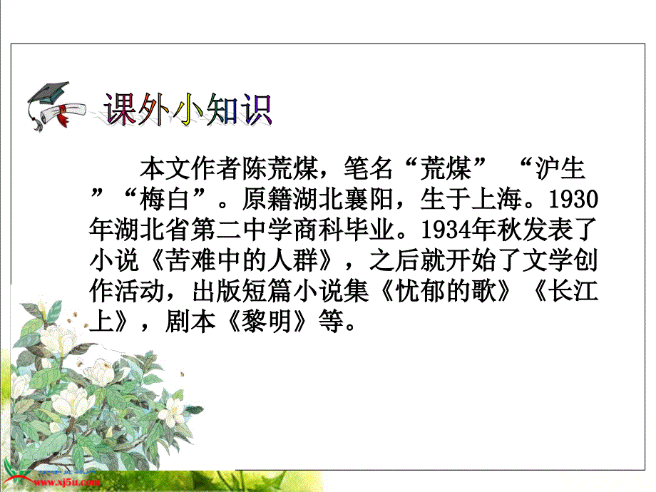 《广玉兰》PPT课件(苏教版六年级语文下册课件)[1][1]_第3页