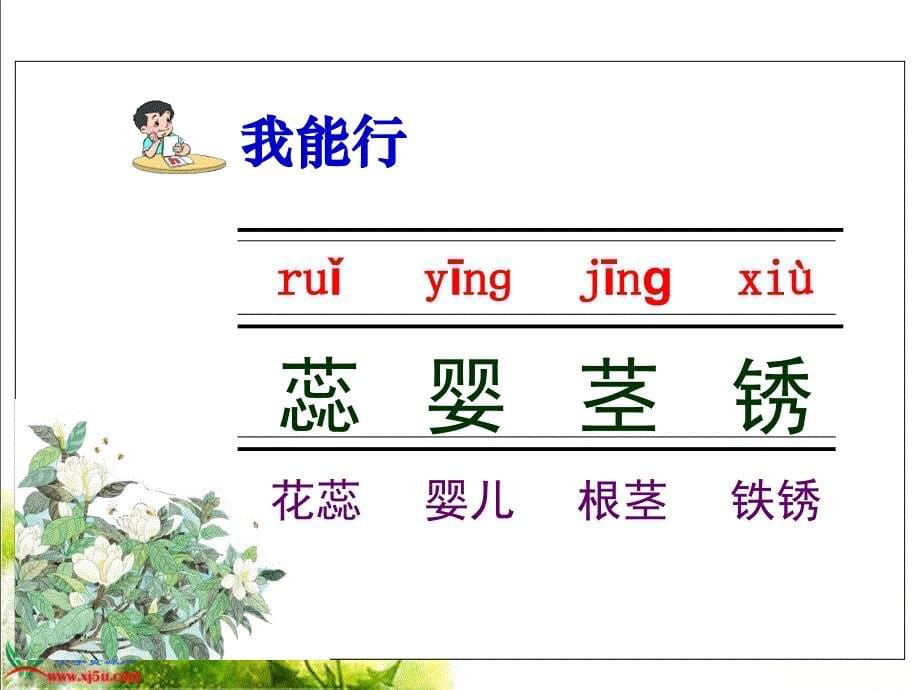 《广玉兰》PPT课件(苏教版六年级语文下册课件)[1][1]_第5页