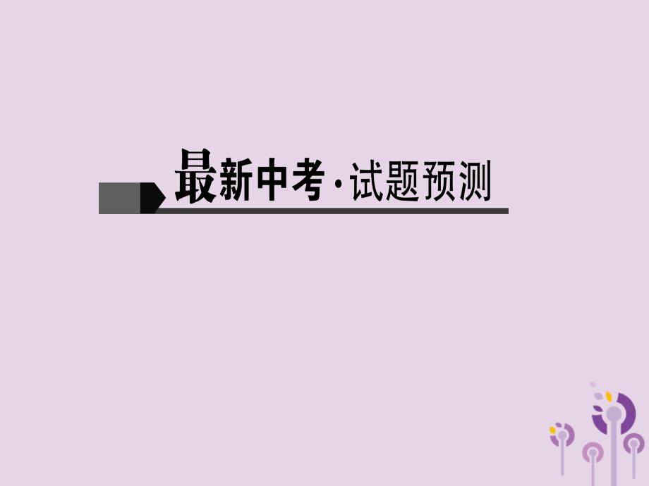 中考语文名师复习第十四讲小说阅读三课件2_第2页