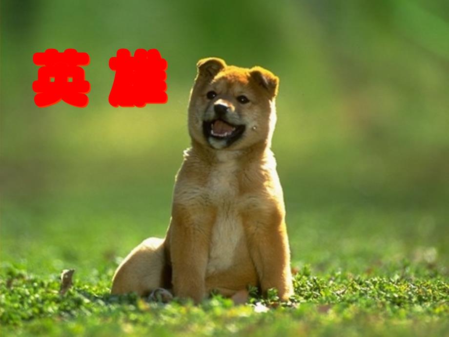 三年级上语文课件14.小狗杜克丨沪教版_第1页