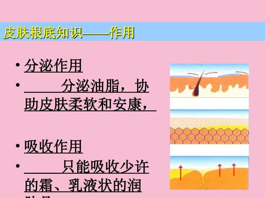 护肤品销售培训护肤基础知识ppt课件_第5页