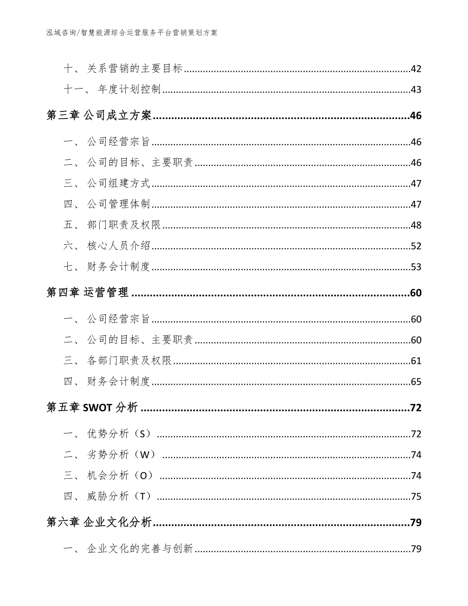 智慧能源综合运营服务平台营销策划方案_第5页