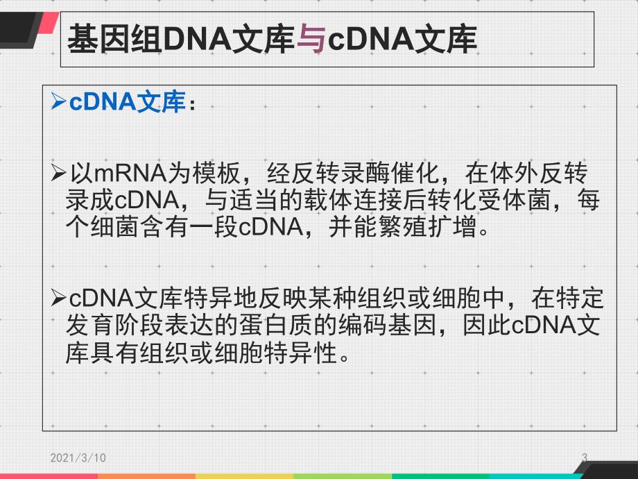 基因组DNA-文库的构建_第3页