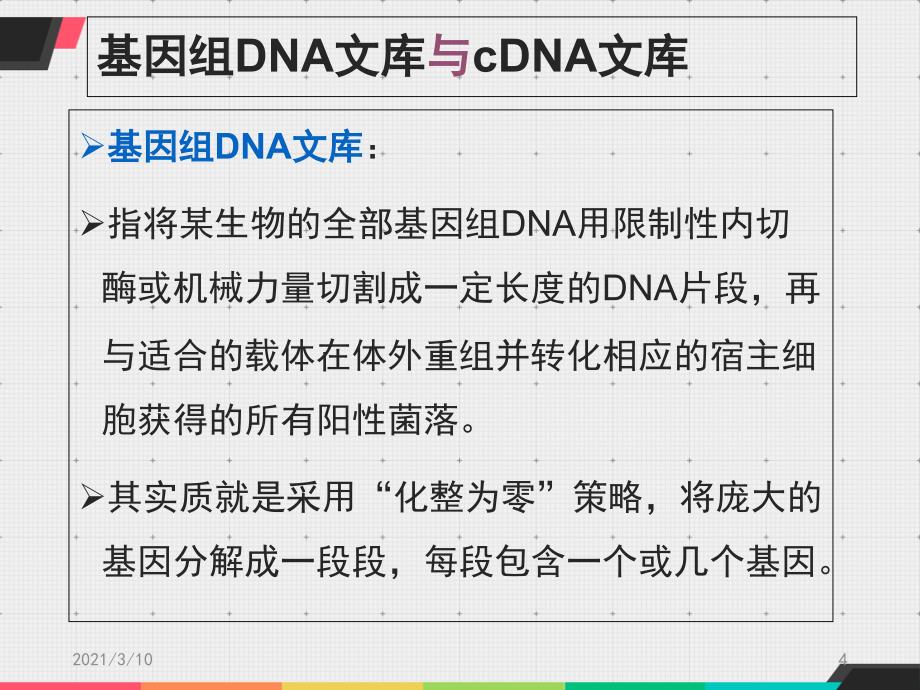 基因组DNA-文库的构建_第4页