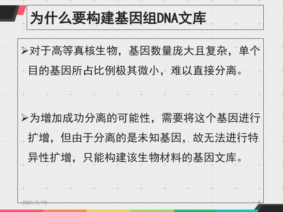 基因组DNA-文库的构建_第5页