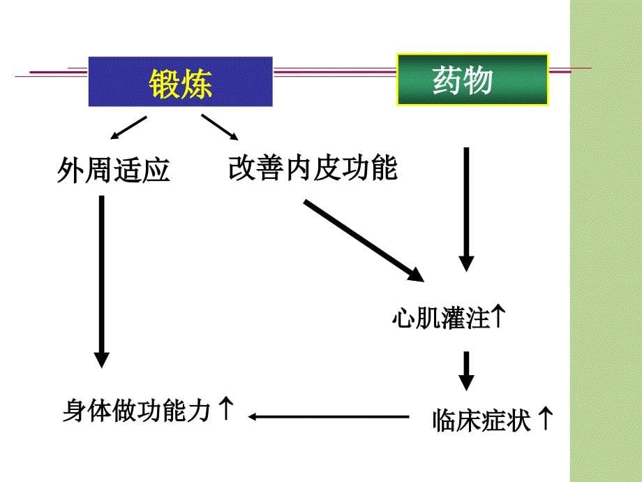 心血管疾病的康复治疗课件_第5页