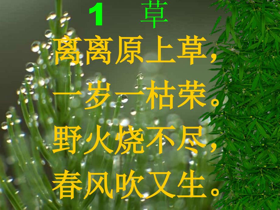 2古诗—草_第2页