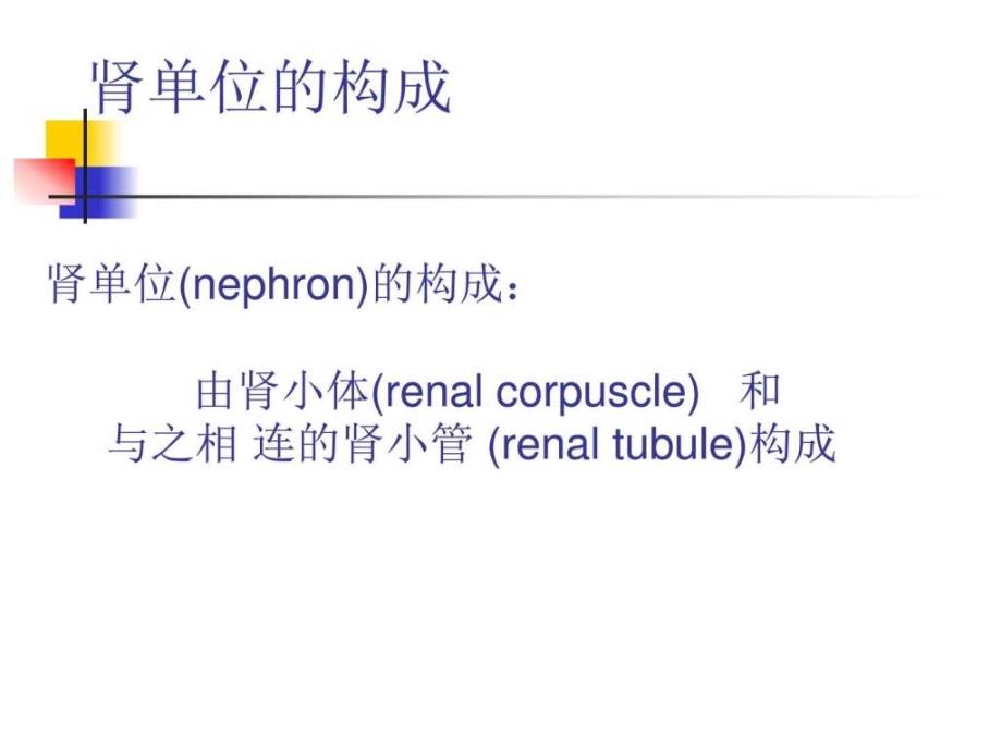 5161血液透析的基本原理图文.ppt_第2页