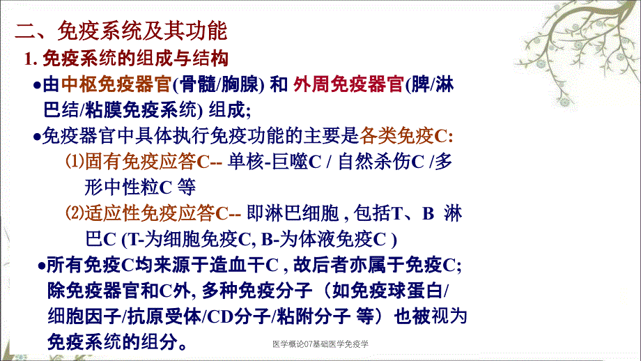 医学概论07基础医学免疫学_第3页