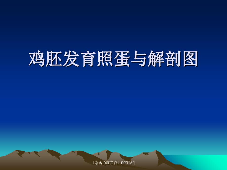 家禽的胚发育课件_第1页