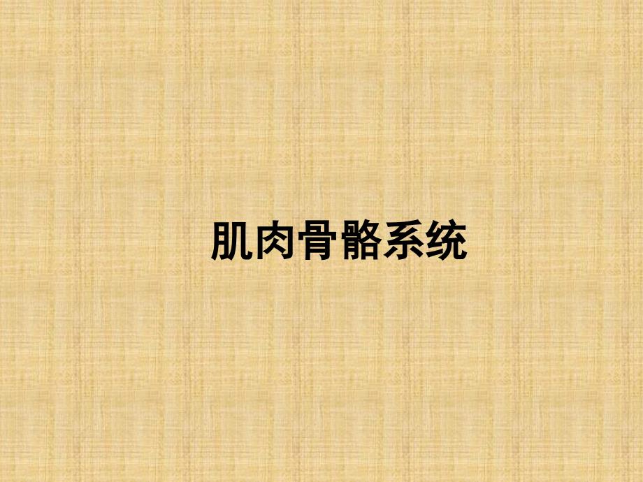 优质医学肌肉骨骼疾病超声诊断_第1页